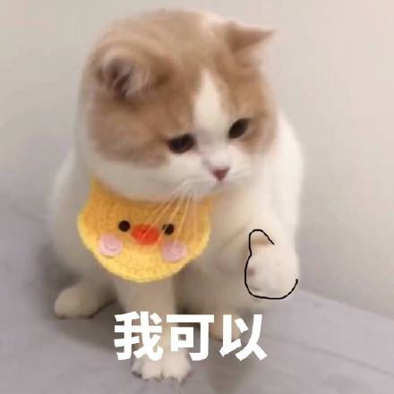 老虎机app