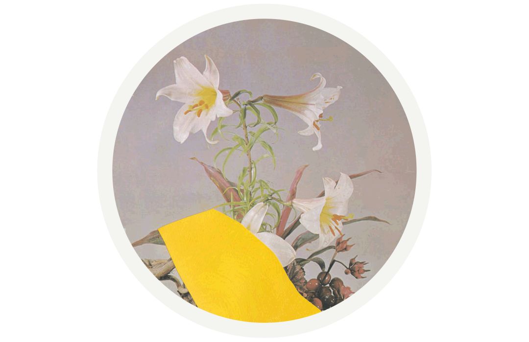 老虎机app