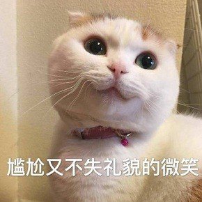 老虎机app